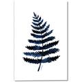 Picture of Blue Fern _GroupedProduct_Rectangle_Portrait_Canvas_