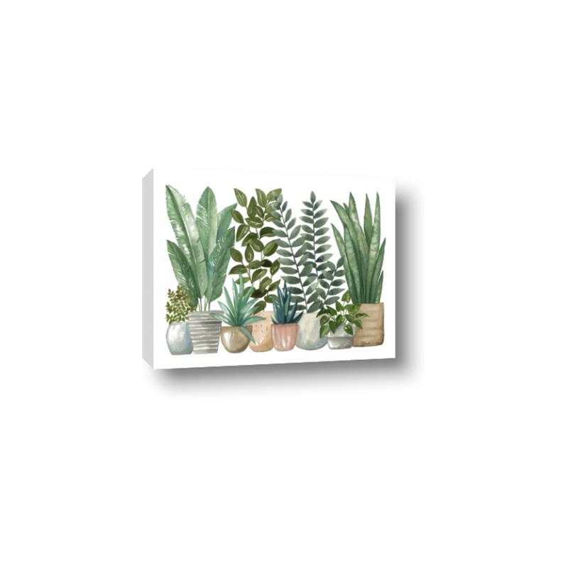 Picture of Plant Party _GroupedProduct_Rectangle_Landscape_Canvas_