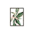 Picture of Leafy I _GroupedProduct_Rectangle_Portrait_Canvas_Framed_