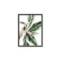 Picture of Leafy I _GroupedProduct_Rectangle_Portrait_Canvas_Framed_
