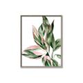 Picture of Leafy II _GroupedProduct_Rectangle_Portrait_Canvas_Framed_