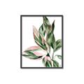 Picture of Leafy II _GroupedProduct_Rectangle_Portrait_Canvas_Framed_
