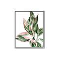 Picture of Leafy II _GroupedProduct_Rectangle_Portrait_Canvas_Framed_
