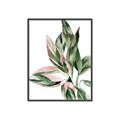 Picture of Leafy II _GroupedProduct_Rectangle_Portrait_Canvas_Framed_