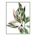Picture of Leafy II _GroupedProduct_Rectangle_Portrait_Canvas_Framed_