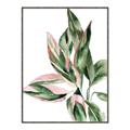Picture of Leafy II _GroupedProduct_Rectangle_Portrait_Canvas_Framed_