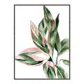 Picture of Leafy II _GroupedProduct_Rectangle_Portrait_Canvas_Framed_