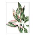 Picture of Leafy II _GroupedProduct_Rectangle_Portrait_Canvas_Framed_