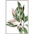 Picture of Leafy II _GroupedProduct_Rectangle_Portrait_Canvas_Framed_