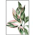 Picture of Leafy II _GroupedProduct_Rectangle_Portrait_Canvas_Framed_