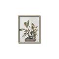 Picture of Pink Leaf House Plant _GroupedProduct_Rectangle_Portrait_Canvas_Framed_
