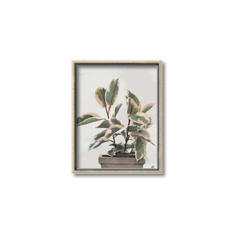 Picture of Pink Leaf House Plant _GroupedProduct_Rectangle_Portrait_Canvas_Framed_