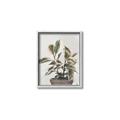 Picture of Pink Leaf House Plant _GroupedProduct_Rectangle_Portrait_Canvas_Framed_