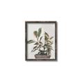Picture of Pink Leaf House Plant _GroupedProduct_Rectangle_Portrait_Canvas_Framed_