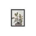 Picture of Pink Leaf House Plant _GroupedProduct_Rectangle_Portrait_Canvas_Framed_