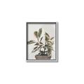 Picture of Pink Leaf House Plant _GroupedProduct_Rectangle_Portrait_Canvas_Framed_