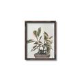 Picture of Pink Leaf House Plant _GroupedProduct_Rectangle_Portrait_Canvas_Framed_