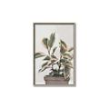 Picture of Pink Leaf House Plant _GroupedProduct_Rectangle_Portrait_Canvas_Framed_
