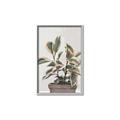 Picture of Pink Leaf House Plant _GroupedProduct_Rectangle_Portrait_Canvas_Framed_