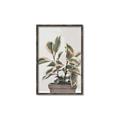 Picture of Pink Leaf House Plant _GroupedProduct_Rectangle_Portrait_Canvas_Framed_