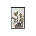 Picture of Pink Leaf House Plant _GroupedProduct_Rectangle_Portrait_Canvas_Framed_