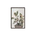 Picture of Pink Leaf House Plant _GroupedProduct_Rectangle_Portrait_Canvas_Framed_