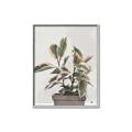 Picture of Pink Leaf House Plant _GroupedProduct_Rectangle_Portrait_Canvas_Framed_