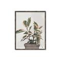 Picture of Pink Leaf House Plant _GroupedProduct_Rectangle_Portrait_Canvas_Framed_