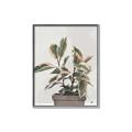 Picture of Pink Leaf House Plant _GroupedProduct_Rectangle_Portrait_Canvas_Framed_