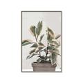 Picture of Pink Leaf House Plant _GroupedProduct_Rectangle_Portrait_Canvas_Framed_