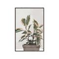 Picture of Pink Leaf House Plant _GroupedProduct_Rectangle_Portrait_Canvas_Framed_
