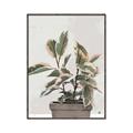 Picture of Pink Leaf House Plant _GroupedProduct_Rectangle_Portrait_Canvas_Framed_