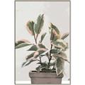 Picture of Pink Leaf House Plant _GroupedProduct_Rectangle_Portrait_Canvas_Framed_