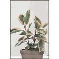 Picture of Pink Leaf House Plant _GroupedProduct_Rectangle_Portrait_Canvas_Framed_