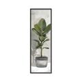 Picture of House Ficus _GroupedProduct_Panel_Portrait_Canvas_Framed_