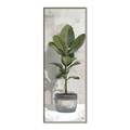 Picture of House Ficus _GroupedProduct_Panel_Portrait_Canvas_Framed_
