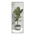 Picture of House Ficus _GroupedProduct_Panel_Portrait_Canvas_Framed_
