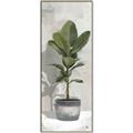 Picture of House Ficus _GroupedProduct_Panel_Portrait_Canvas_Framed_