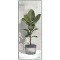 Picture of House Ficus _GroupedProduct_Panel_Portrait_Canvas_Framed_