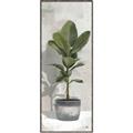 Picture of House Ficus _GroupedProduct_Panel_Portrait_Canvas_Framed_