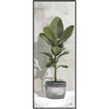 Picture of House Ficus _GroupedProduct_Panel_Portrait_Canvas_Framed_