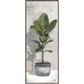 Picture of House Ficus _GroupedProduct_Panel_Portrait_Canvas_Framed_