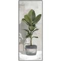 Picture of House Ficus _GroupedProduct_Panel_Portrait_Canvas_Framed_