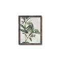 Picture of Leaf Garden _GroupedProduct_Rectangle_Portrait_Canvas_Framed_