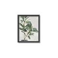 Picture of Leaf Garden _GroupedProduct_Rectangle_Portrait_Canvas_Framed_