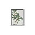 Picture of Leaf Garden _GroupedProduct_Rectangle_Portrait_Canvas_Framed_