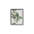 Picture of Leaf Garden _GroupedProduct_Rectangle_Portrait_Canvas_Framed_