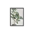 Picture of Leaf Garden _GroupedProduct_Rectangle_Portrait_Canvas_Framed_