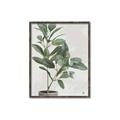 Picture of Leaf Garden _GroupedProduct_Rectangle_Portrait_Canvas_Framed_