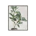 Picture of Leaf Garden _GroupedProduct_Rectangle_Portrait_Canvas_Framed_